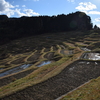 大山千枚田