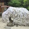 安井金比羅宮【見どころと御朱印】悪縁を切り、良縁を結ぶ