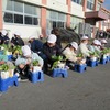 大きくできた！ダイコンのしゅうかく～2年：生活科～