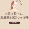 【世界初】老化細胞の減少を確認！ファンケルの新成分「キンミズヒキ」の驚きの効果とは？