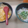 夜ご飯