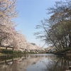 子どもと遊べる自然豊かな場所！千葉市花見川区:花島公園