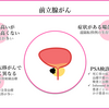 がん緩和ケア＋在宅医療医に必要ながん治療に関する知識を科学する　９３