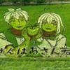 2024田舎館村の田んぼアート「じいさんばあさん若返る」きれい！