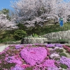 　ハート型の芝桜