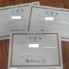 先月、受けた数学検定＆算数検定の結果が出ました！
