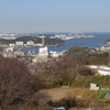 　三浦アルプス(仙元山〜南尾根〜乳頭山〜田浦梅林)