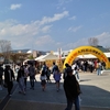 サンフレッチェ初観戦も勝利する