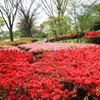 福岡市植物園