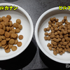 【ロイヤルカナン アミノペプチドフォーミュラ】療養食開始二日目から急に食べる量が・・・ 獣医さんに相談する！【猫のアレルギー皮膚炎】