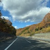 紅葉真っ盛り。