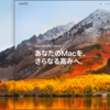 【macOS High Sierra】購入１年、パソコンのクリーンナップをしてみた