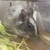 しろごまあん1271日目