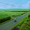 秒速5センチメートル(実写)の聖地巡礼【種子島：特報編】