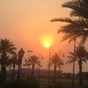  サウジアラビアの朝日も美景