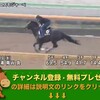 第77回 菊花賞（GI） 【競馬調教】 コスモジャーベ調教動画　「競馬レース結果ハイライト」2016年≪競馬場の達人,競馬予想≫