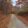 遅すぎた紅葉狩【泉ヶ岳】