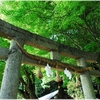 延喜式内・玉祖神社写真館（１０/９）