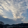 1ヶ月早いと思ったらもうおしまい