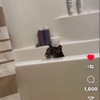 お風呂が好きな猫の映像集(猫に見せる用) A video collection of cats that like to take a bath (for showing to cats)