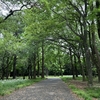 砧公園までお散歩