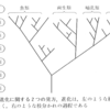 進化：進化について