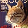 猫びより 1月号