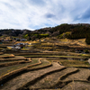 冬の兵庫の棚田