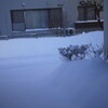 朝から除雪