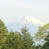 富士山に木植えてきました。【後編】