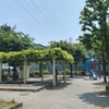 (巻四十四) 一途なり明日を恃まぬ蝉の声(渡辺荻風)