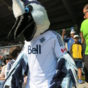 VWFC Note