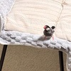 ちっちが私の席に座って(？)いました〜！