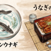 うなぎを食べた翌朝は目覚めが良くて活動的になった