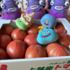 直江津のトマト、おいしいです！