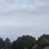 今朝の景色