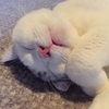 お日さまくださーい。