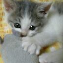 mubeのブログ