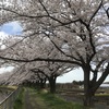 埼玉県　氷川女體神社