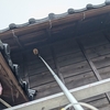 スズメバチの駆除依頼が増えてます