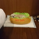 obbcook’s blog