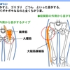 使い方で発生、弾発股に！