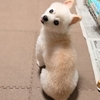 やっぱり運動の秋！？