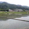 またもや久々の更新！屋久島は初夏の気配です。