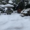 和の庭　雪で飛び石が覆われました。