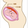 胎盤を食べられる⁈って本当？のお話。