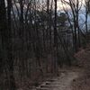 夕暮れの山道