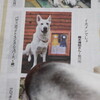 またまた新聞へ掲載