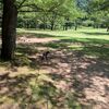 犬のロングリード（５ｍ）は公園などでブラブラ散歩するときに使っています。
