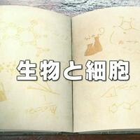 同じことを言い換えているだけなのに 根拠 と言い張る 見せかけの根拠 ロンリのちから 0213木曜深夜 アクティブ10 母mと息子sの学習キロク 同じことを言い換えているだけなのに 根拠 と言い張る 見せかけの根拠 ロンリのちから 0213木曜深夜 アクティブ10 母mと息子sの学習キロク